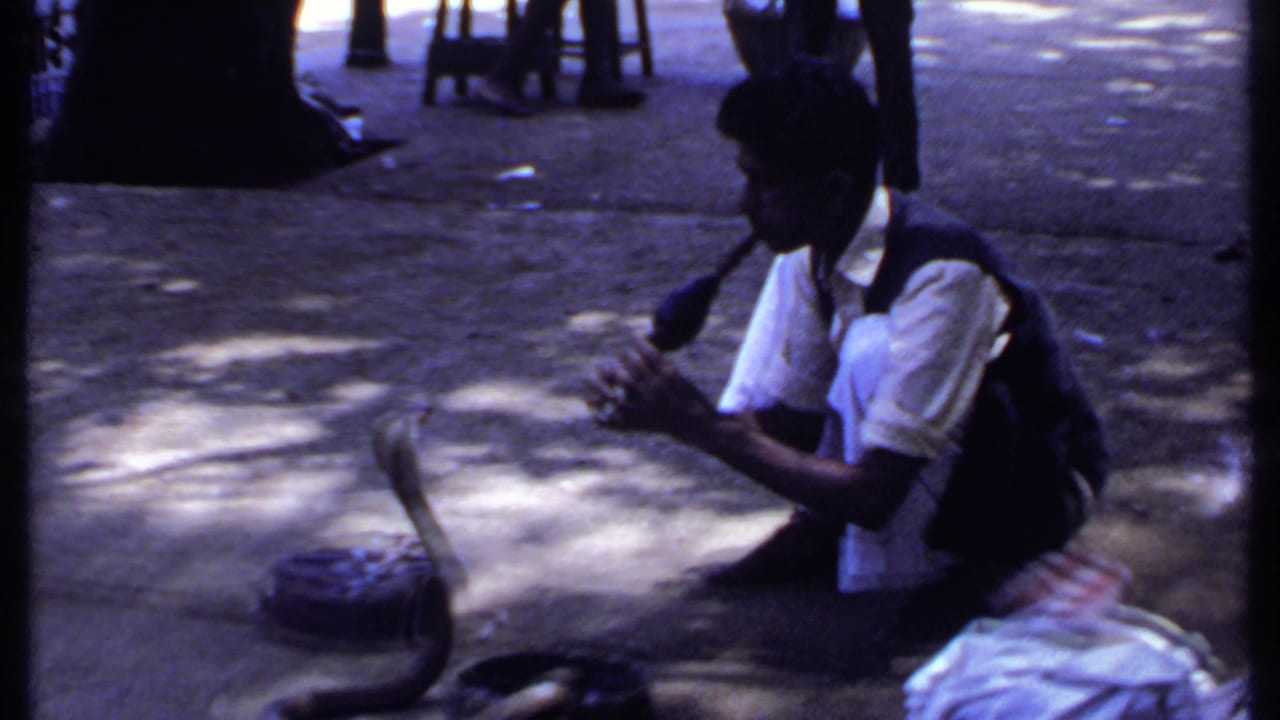 A snake charmer in India crouches on shaded pavement while a cobra faces him, with stools and standing spectators in the background.