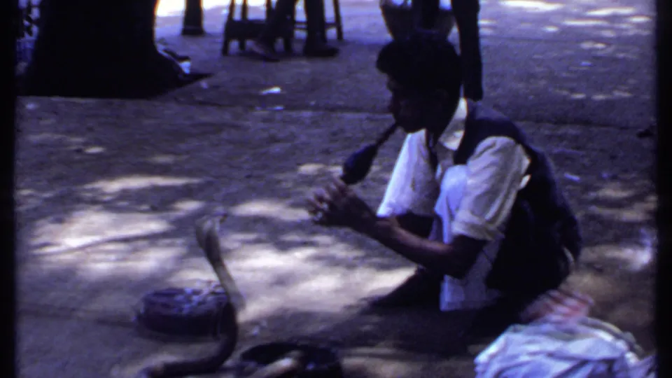 A snake charmer in India crouches on shaded pavement while a cobra faces him, with stools and standing spectators in the background.