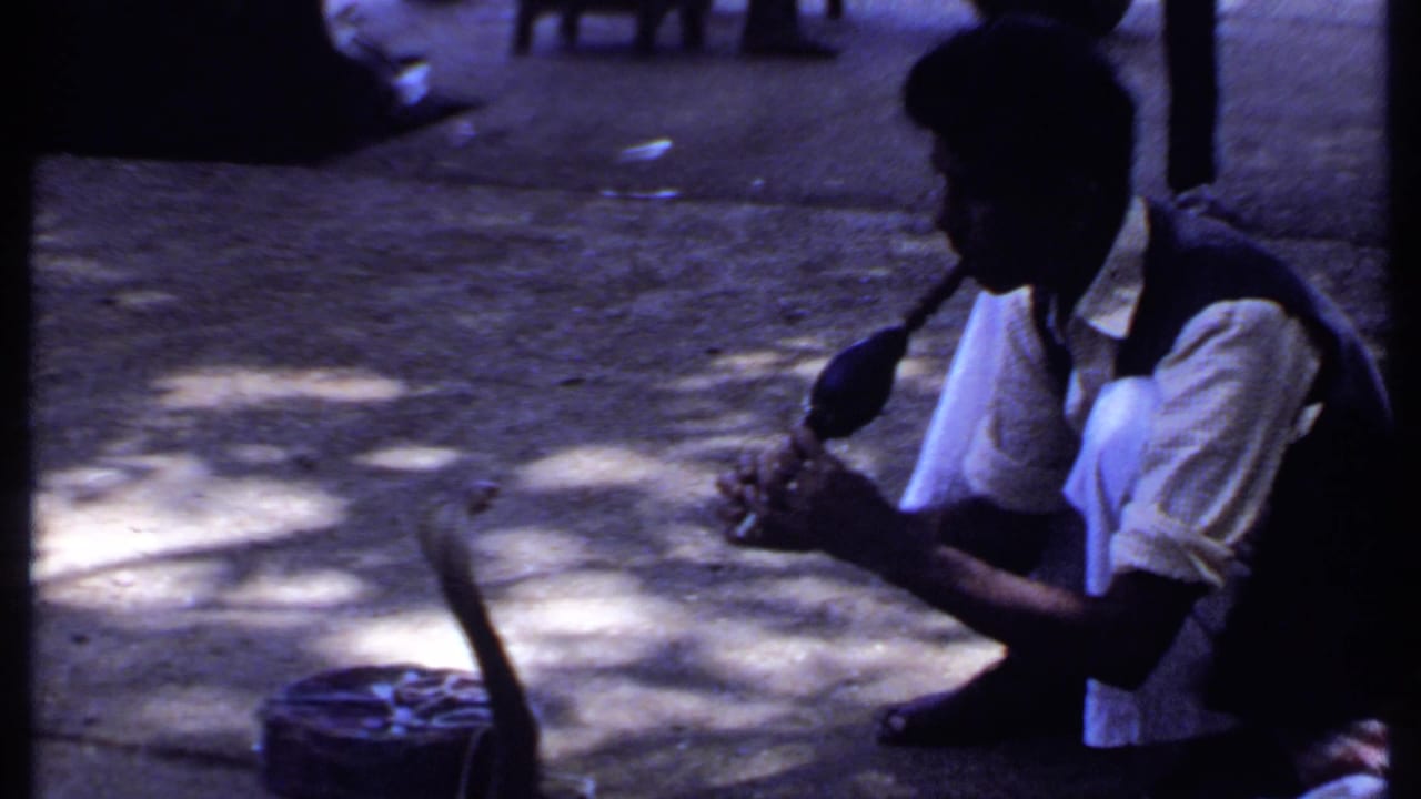 The 8mm frame shows the crouching snake charmer leaning toward the cobra, with the basket and shaded pavement prominent in the foreground.