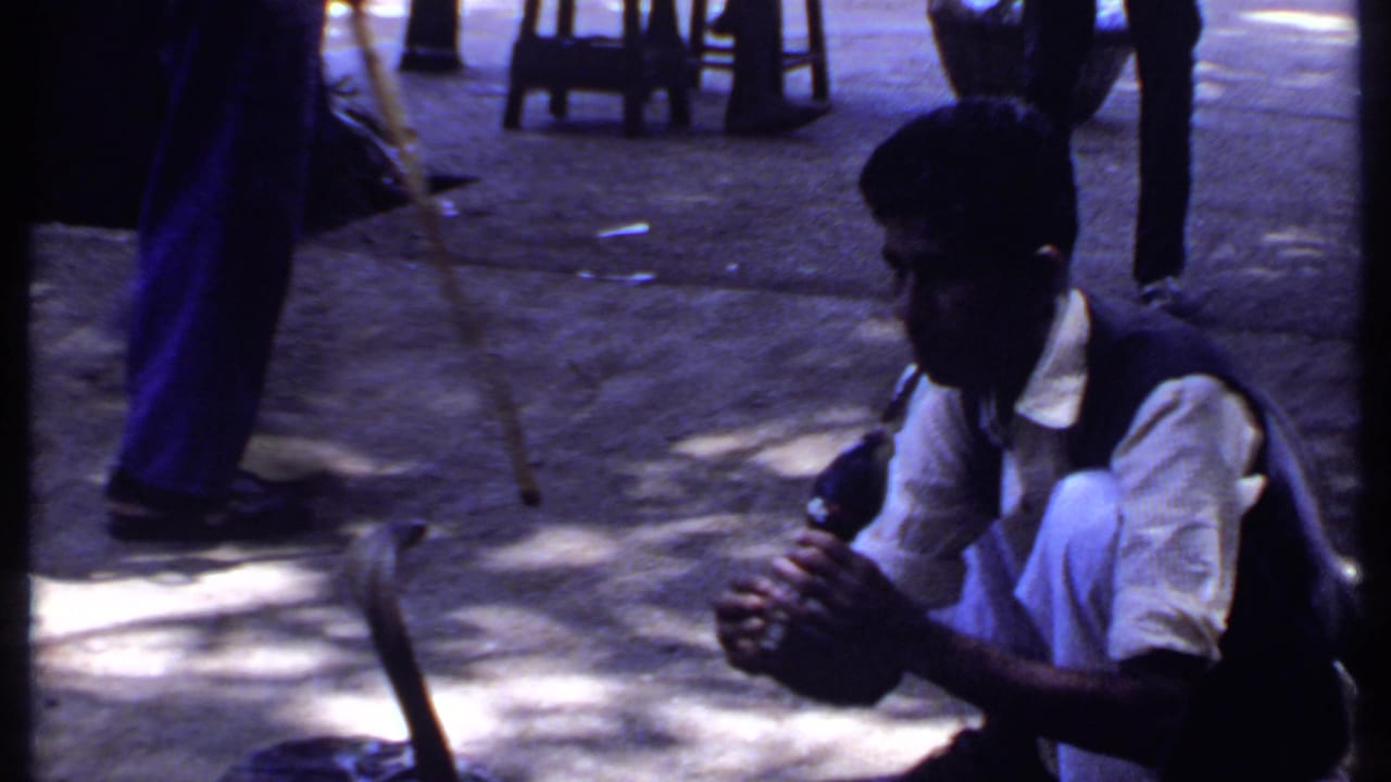 Snake charmer crouches with flute as a cobra rises in front of him.