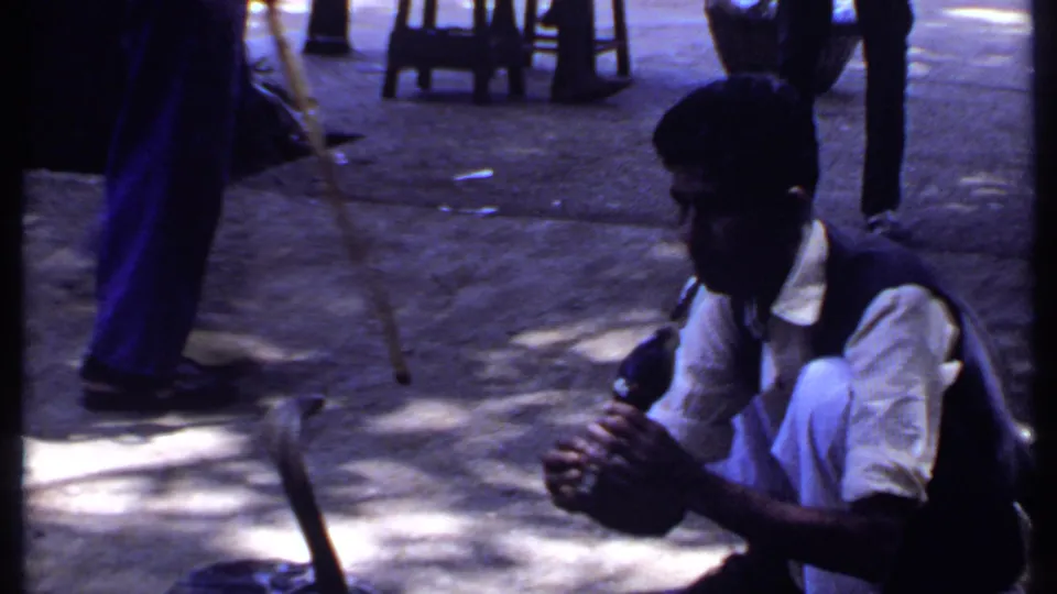 The performer remains crouched on an Indian street, holding a flute toward a cobra while people pass in the background.