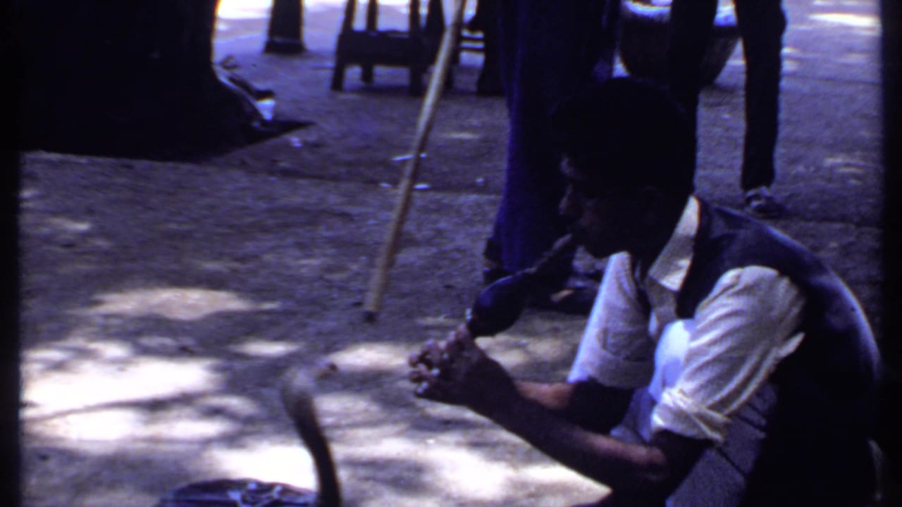 A handheld 8mm frame shows the crouching snake charmer playing flute, with the cobra low in the foreground and passersby behind him.