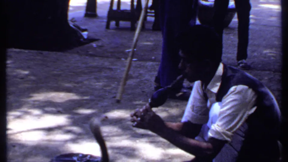 A handheld 8mm frame shows the crouching snake charmer playing flute, with the cobra low in the foreground and passersby behind him.