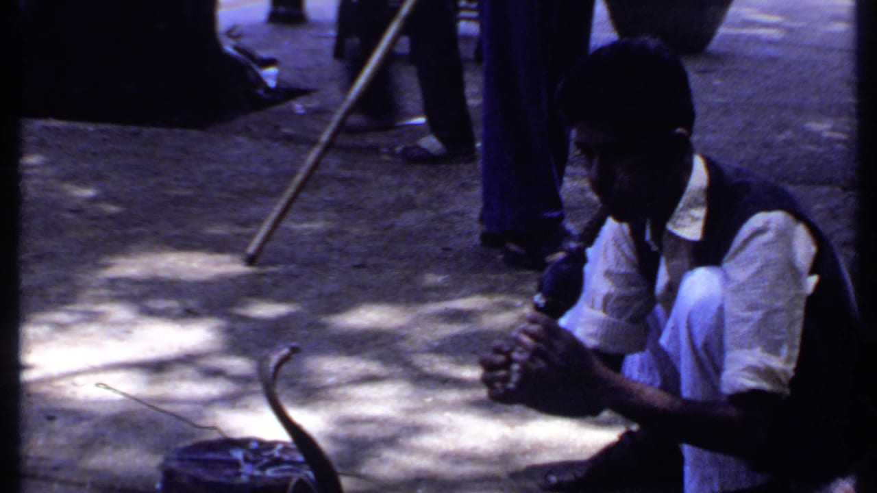 The final frame holds on the Indian street performance, with the flute player crouched at right and the cobra and stick visible on the pavement.
