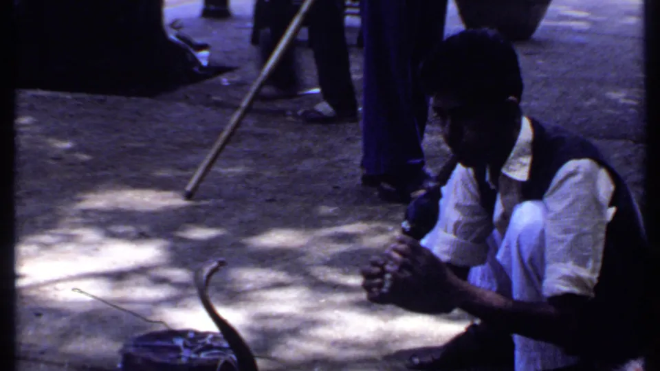 The final frame holds on the Indian street performance, with the flute player crouched at right and the cobra and stick visible on the pavement.