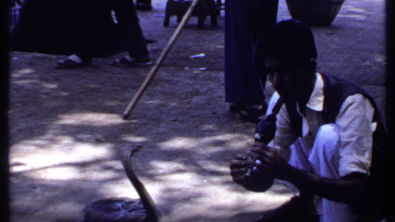Crouching man plays a small flute near a cobra rising from a basket on shaded pavement.