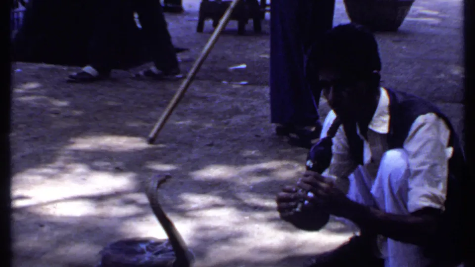 In 1969 India home-movie footage, a crouching man in a white shirt and dark vest plays beside a cobra emerging from a basket.