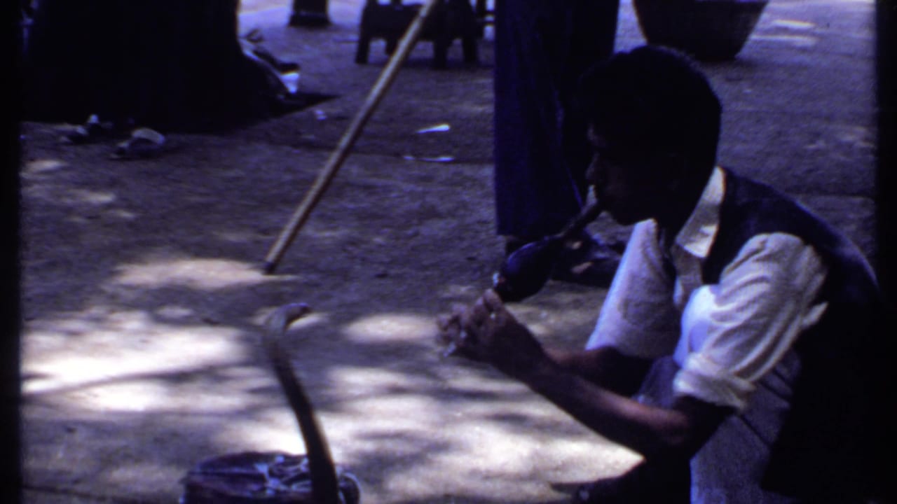 The snake charmer appears in profile, focused on the instrument, with the cobra raised from its basket on the shaded street.