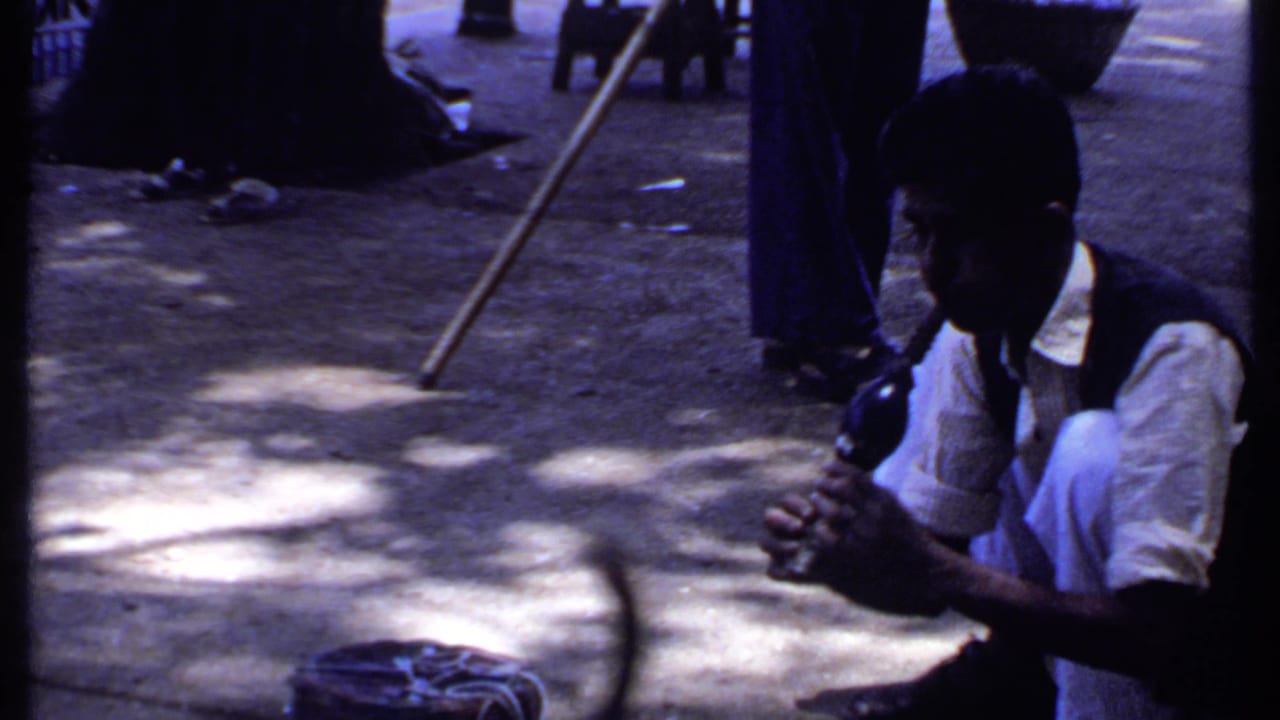 In the final frame, the crouching performer faces the cobra and basket while motion blur suggests the snake swaying in front of him.