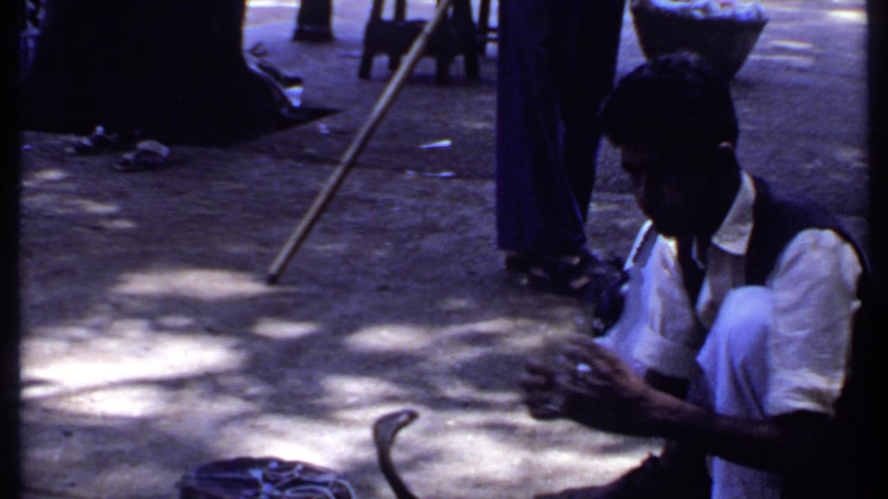 Crouched snake charmer plays a wind instrument beside a raised cobra on a sunlit street.