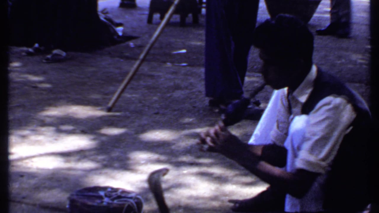 A close home-movie view shows the snake charmer crouched low, facing a raised cobra on a shaded street in India.