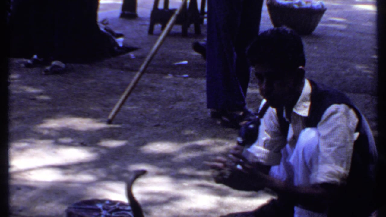 The final frame holds on the 1969 India street performance, with the charmer and cobra framed against sunlit patches and shadows.