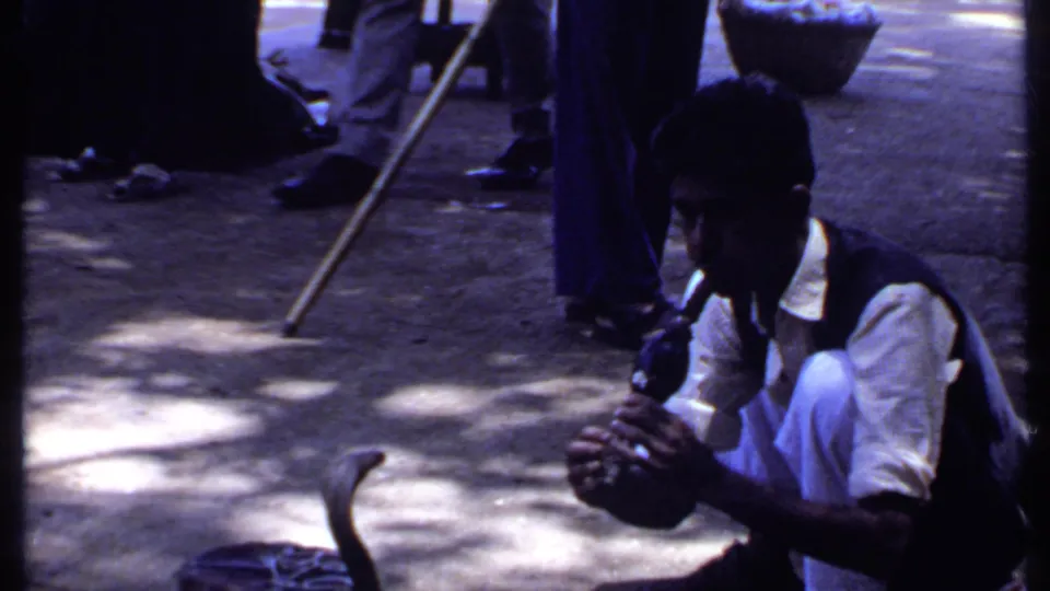 In India archival 8mm footage from 1969, a crouching man handles a cobra near a basket and stick as bystanders' legs appear nearby.