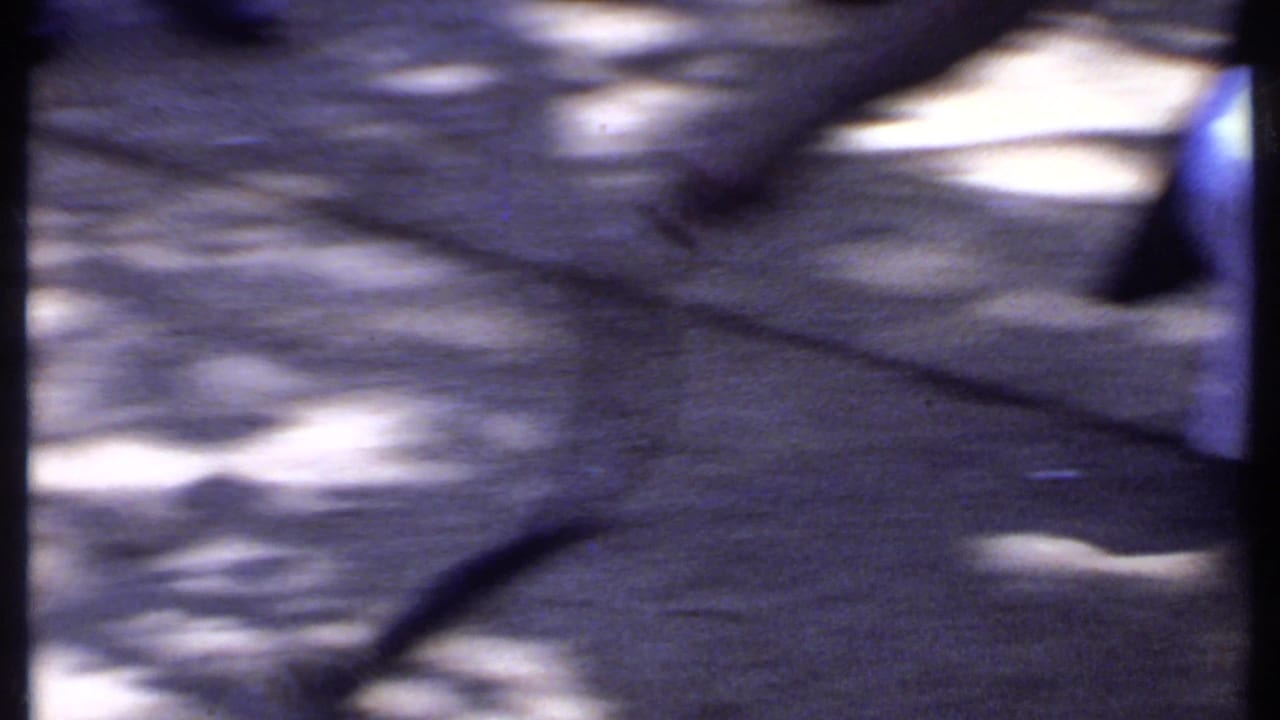 A motion-blurred 8mm frame shows the cobra moving across dappled pavement, with only partial people and frame edges visible.