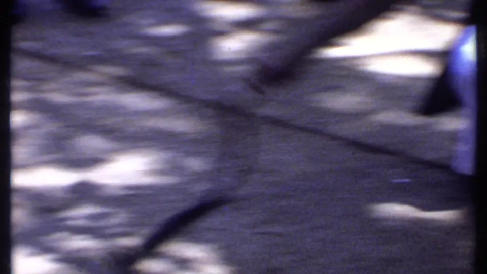 A motion-blurred 8mm frame shows the cobra moving across dappled pavement, with only partial people and frame edges visible.