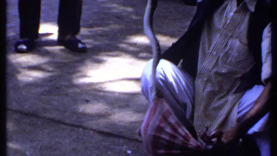 1969 India home-movie frame showing a crouching snake handler with a cloth bag on sun-dappled concrete.
