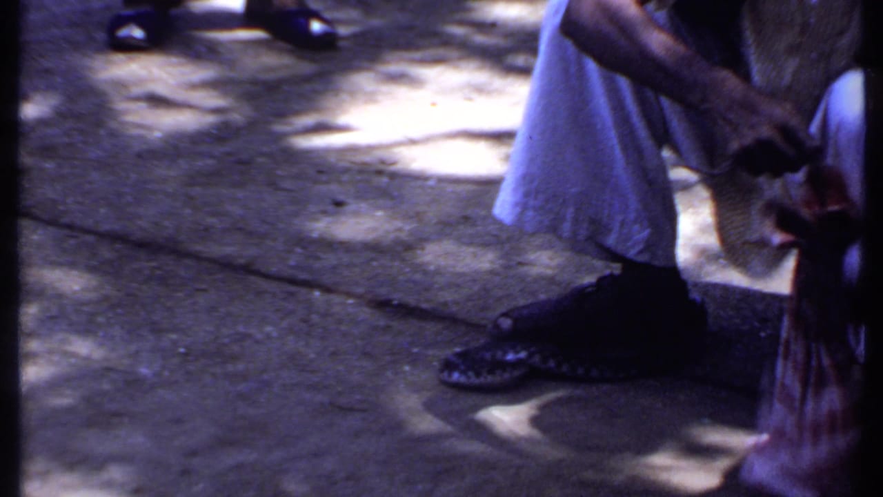1969 India home-movie frame of a crouching man reaching toward a cloth bag during the snake-handling incident.