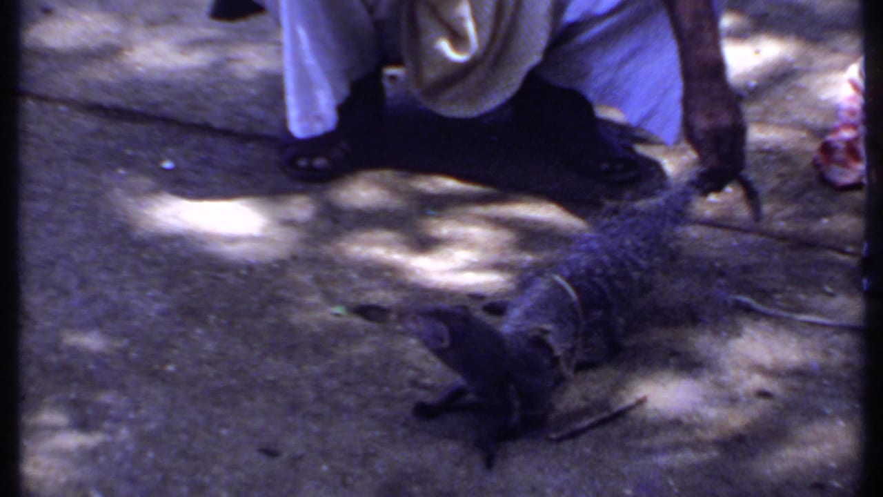 1969 India frame showing a small mongoose-like animal on pavement near a crouched man and patterned cloth bag.