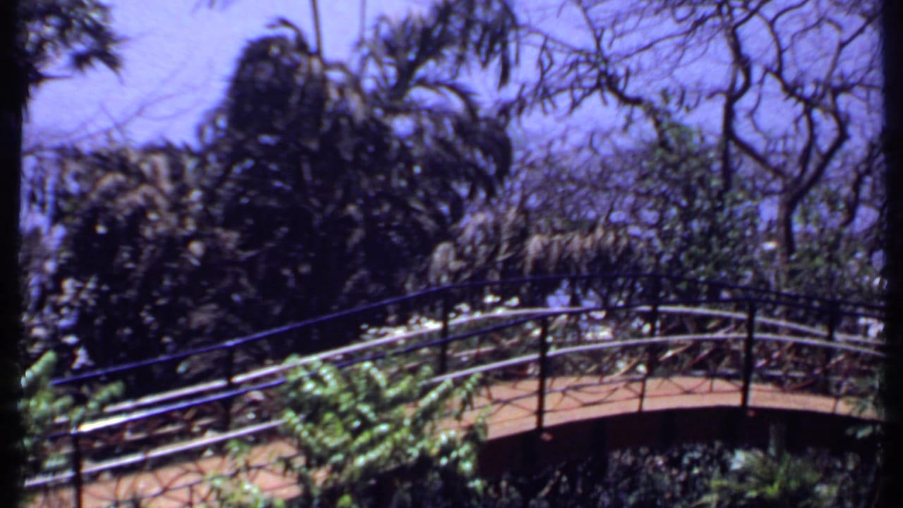 Curved walkway with railings among trees and tropical foliage.