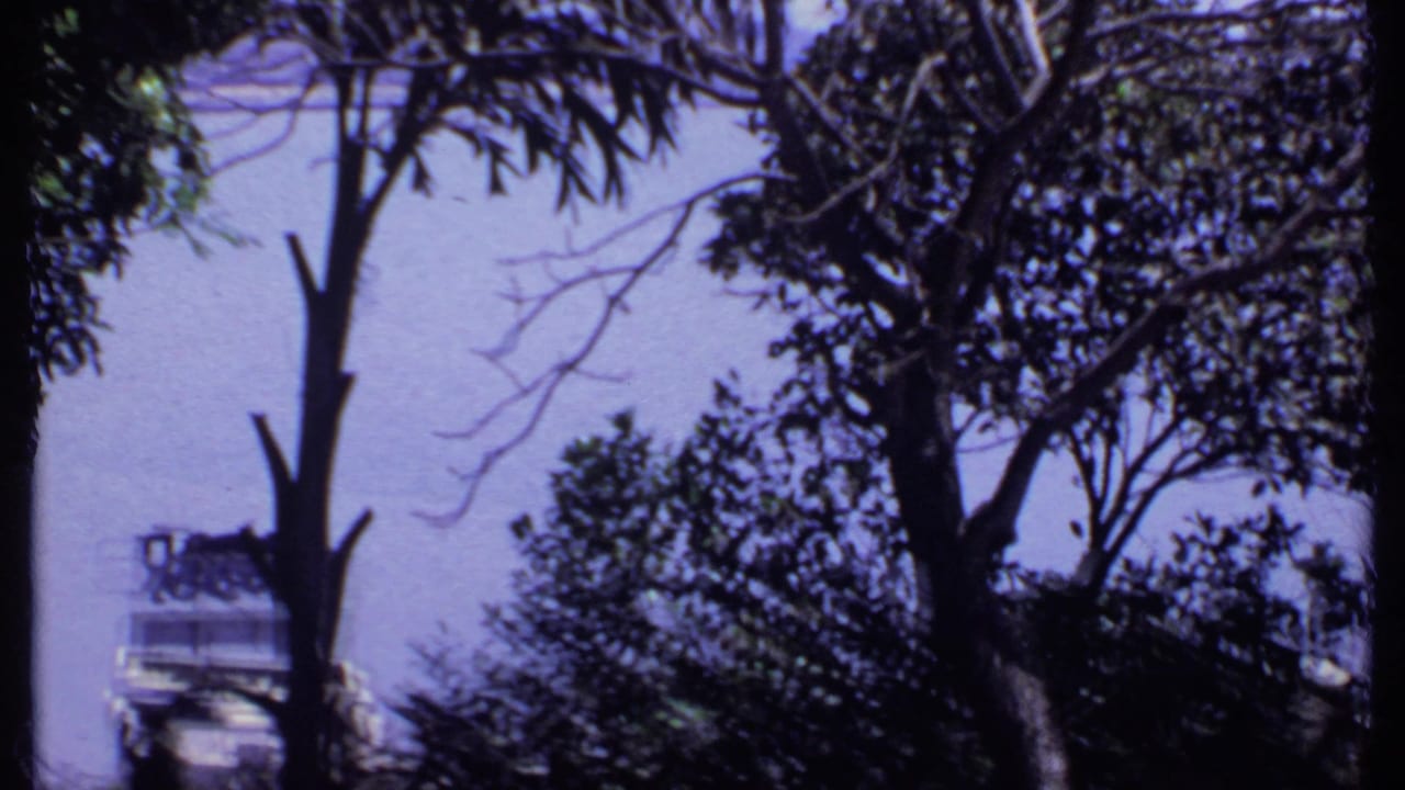 Trees in silhouette frame a distant boat or structure near water.