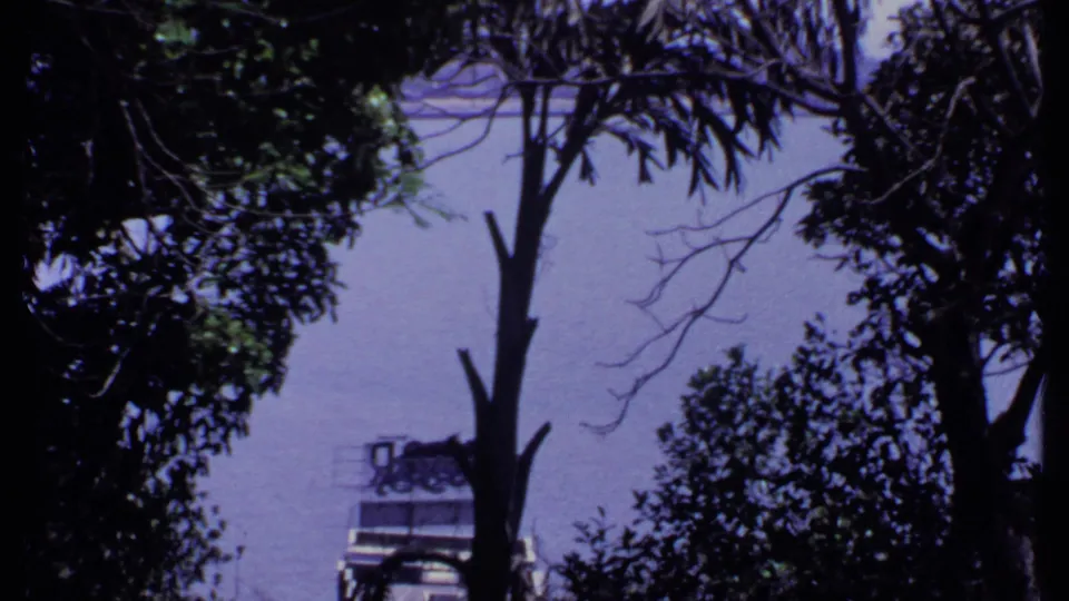 A handheld 8mm view through silhouetted trees in India, with a pale sky and a distant waterside form partly visible.