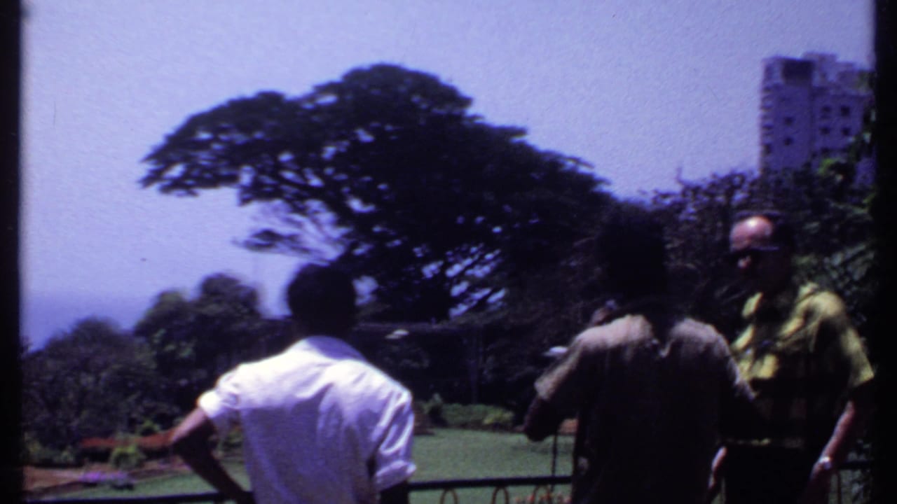 1969 India garden scene with men conversing on a lawn, a large tree, distant buildings, and hazy water beyond the greenery.