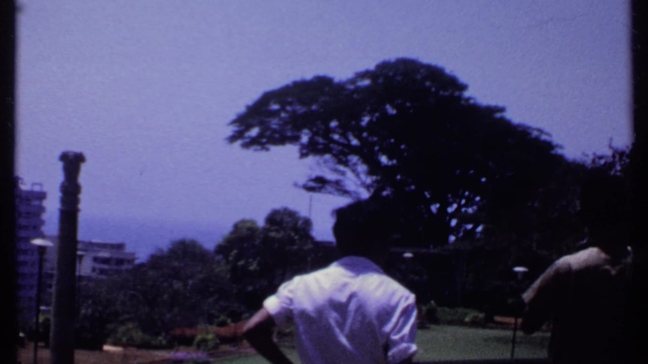 A 1969 India home-movie frame showing men in a garden, a broad dark tree canopy, distant water, and urban buildings in haze.