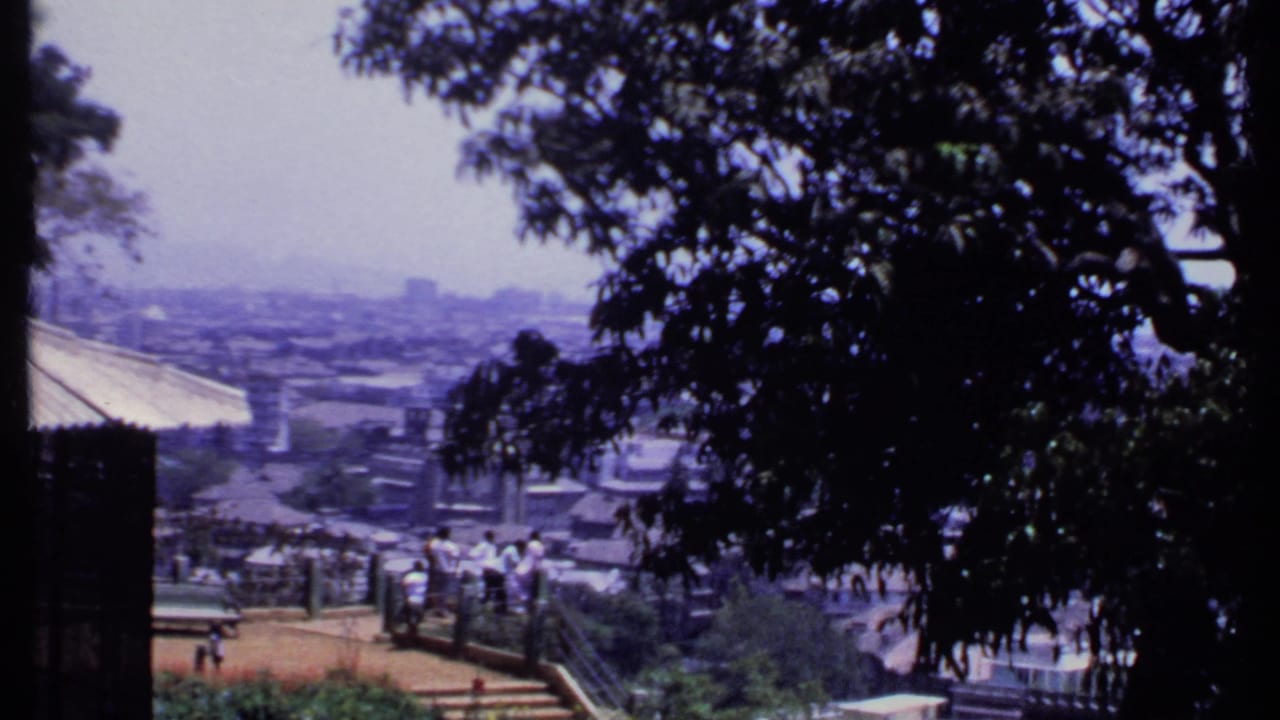 Trees frame a hazy city view with visitors gathered on a terrace below.