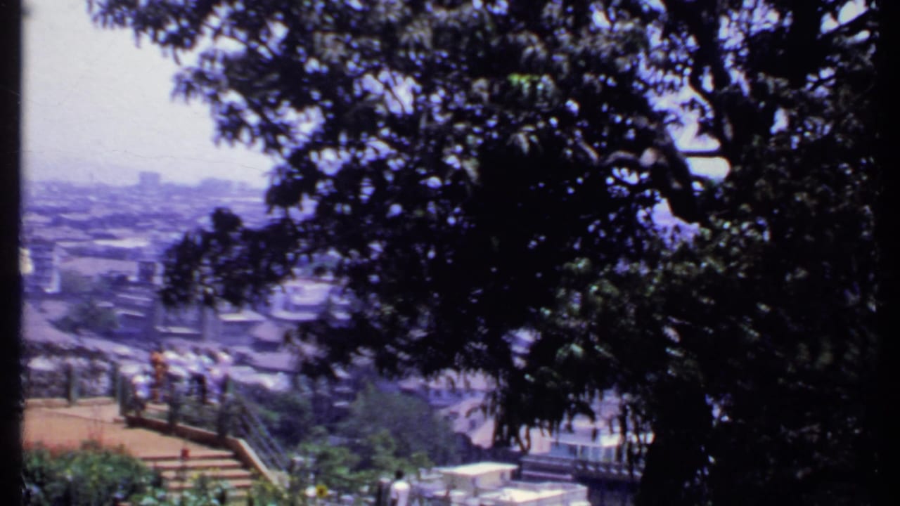 1969 India home-movie view through dark tree branches toward a city and small figures on an overlook.