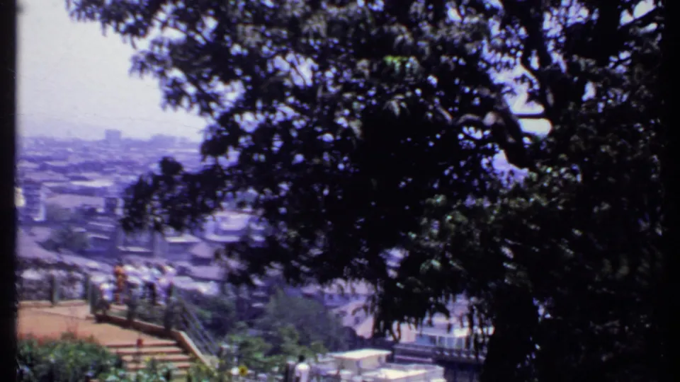 1969 India home-movie view through dark tree branches toward a city and small figures on an overlook.