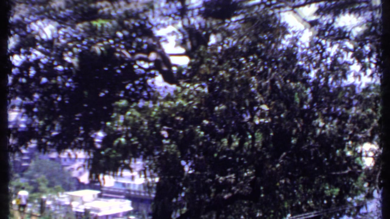 1969 India 8mm frame with heavy foreground foliage, a bright terrace, railings and partial city views in the background.