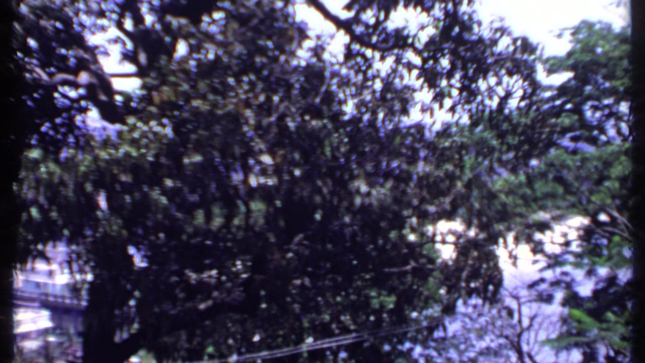 1969 India home-movie frame showing a shaded tree foreground, overlook railings and partial urban buildings in haze.