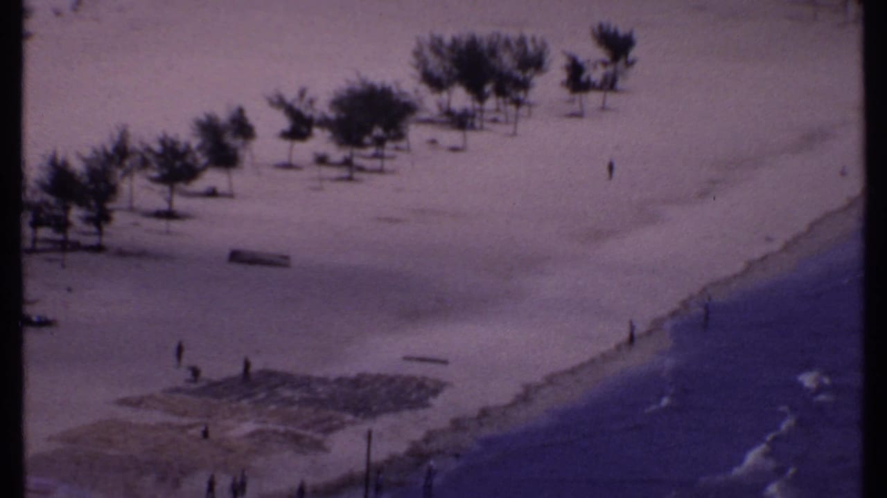 1969 India beach view with waves along the right edge, pale sand, rows of trees, and distant walkers in a purple-blue 8mm frame.
