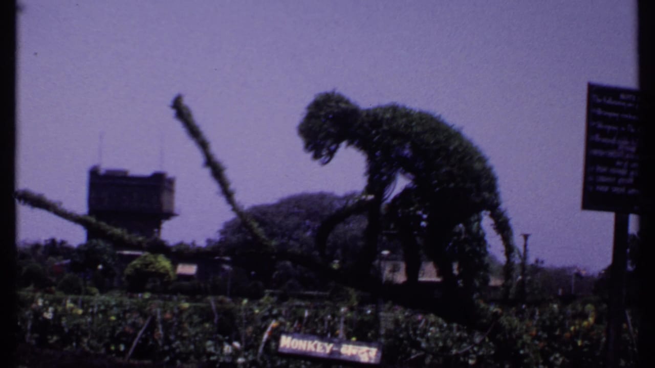 1969 India travel frame showing a garden with a monkey-shaped topiary, low plantings, signs, and a water tower in the background.