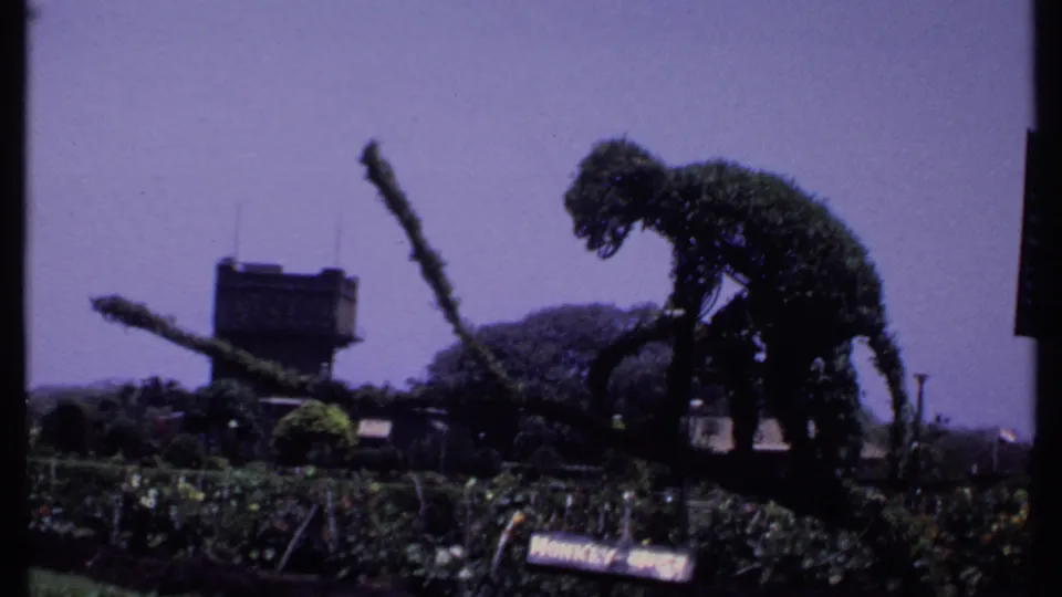 Purple-tinted 1969 India 8mm frame of a monkey-shaped topiary in a public garden, with signage, hedges, and a water tower behind it.