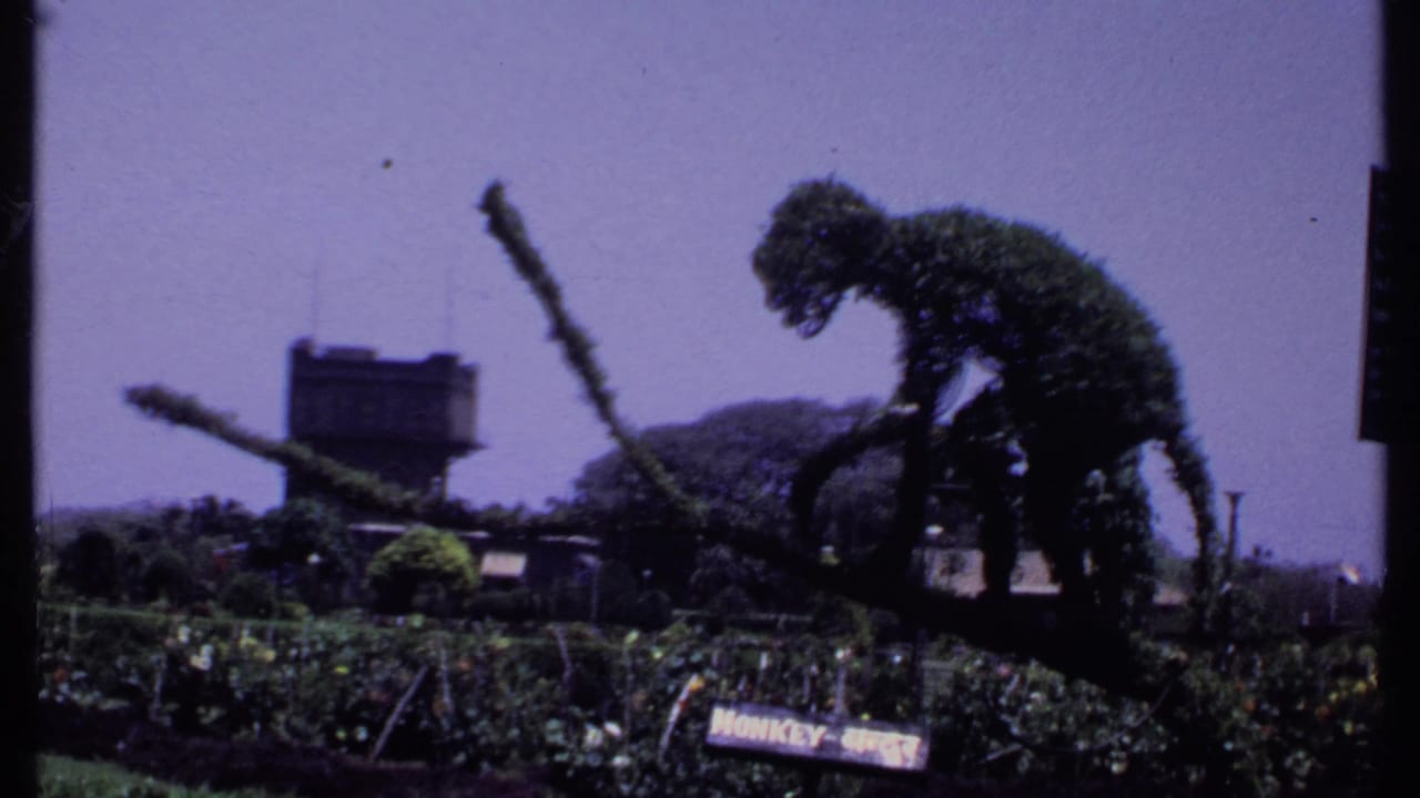 Monkey-shaped topiary in a flower garden with a small sign and distant structure.