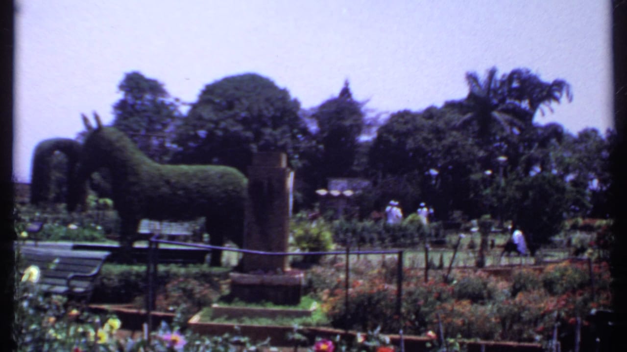 1969 India 8mm frame showing a horse-shaped topiary beside benches and flower beds as visitors pass through the garden.