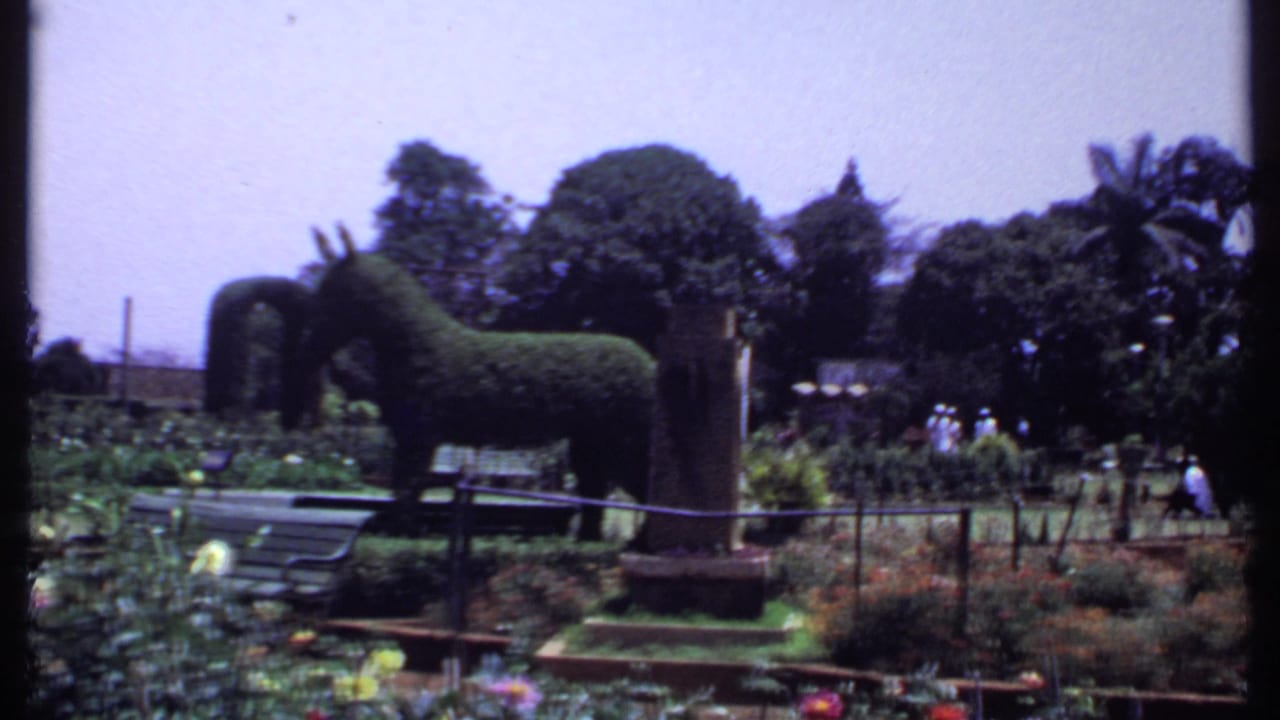 1969 India 8mm frame with horse-shaped topiary, benches, flower beds, trees, and visitors in a formal botanical garden.