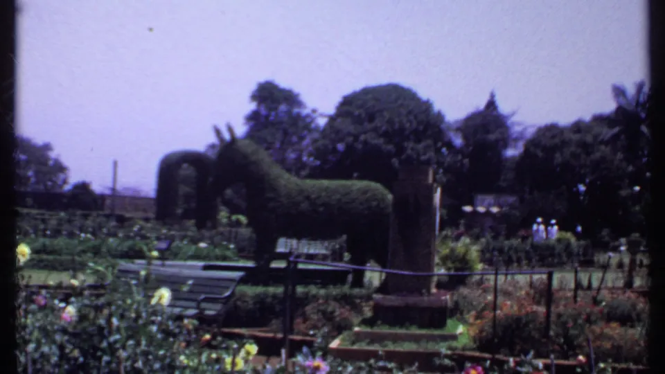 1969 India 8mm frame showing a donkey-shaped topiary in a formal garden with flowers, benches, railings, trees, and small distant visitors.