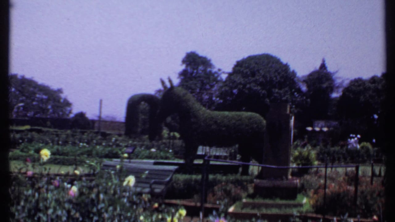 1969 India home-movie frame of a clipped donkey topiary in a flower garden, with benches, railings, mature trees, and visitors in the distance.