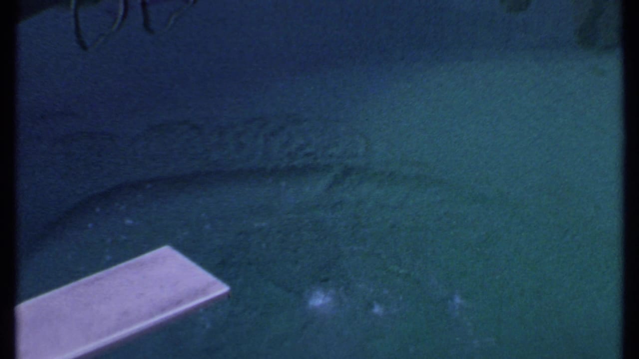 Greenish water surface with a pale rectangular ledge or board at the edge.