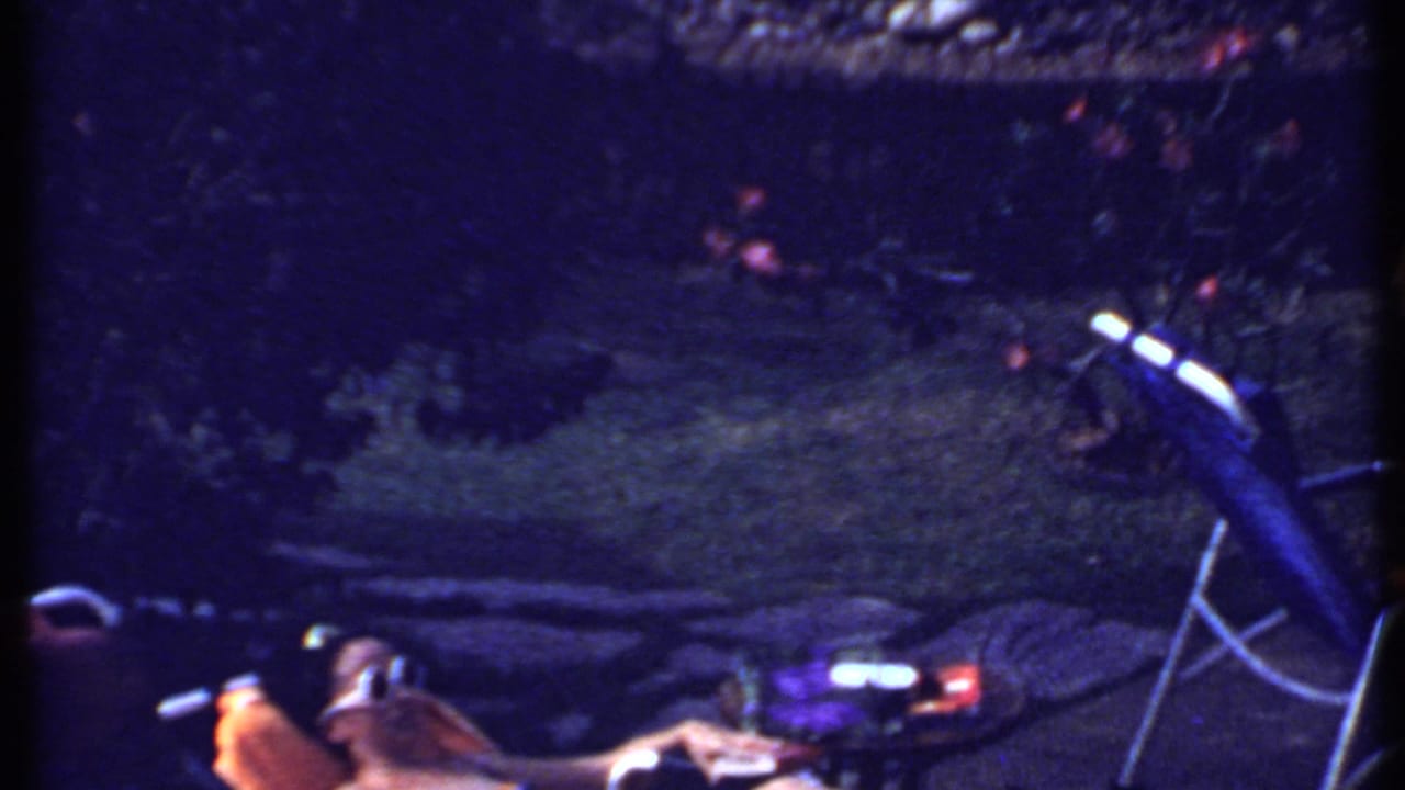 A 1969 India yard scene with a reclining woman, lounge chair, grass, and dense planting in soft 8mm color.