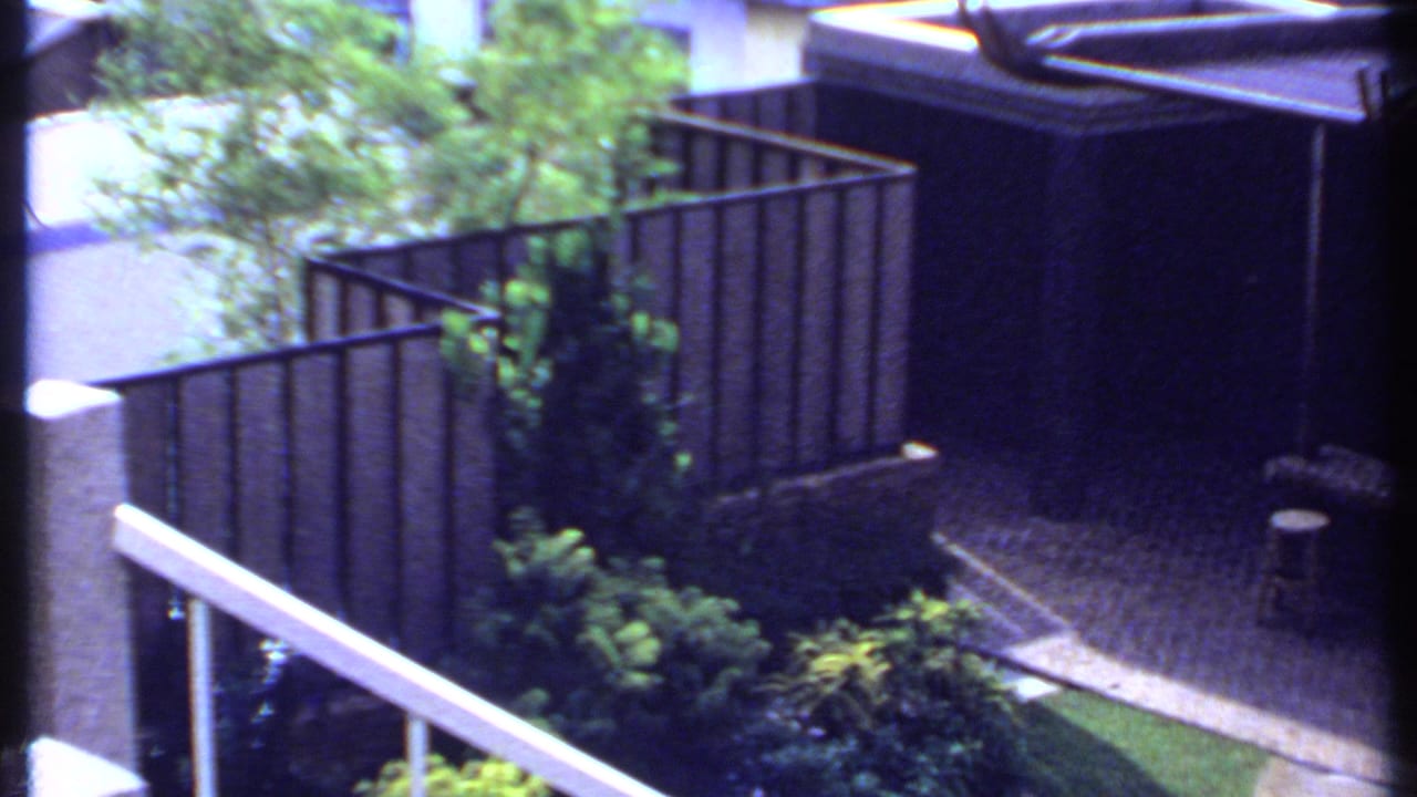 Sunlit courtyard with railings, plants, paving, and a dark pergola structure.