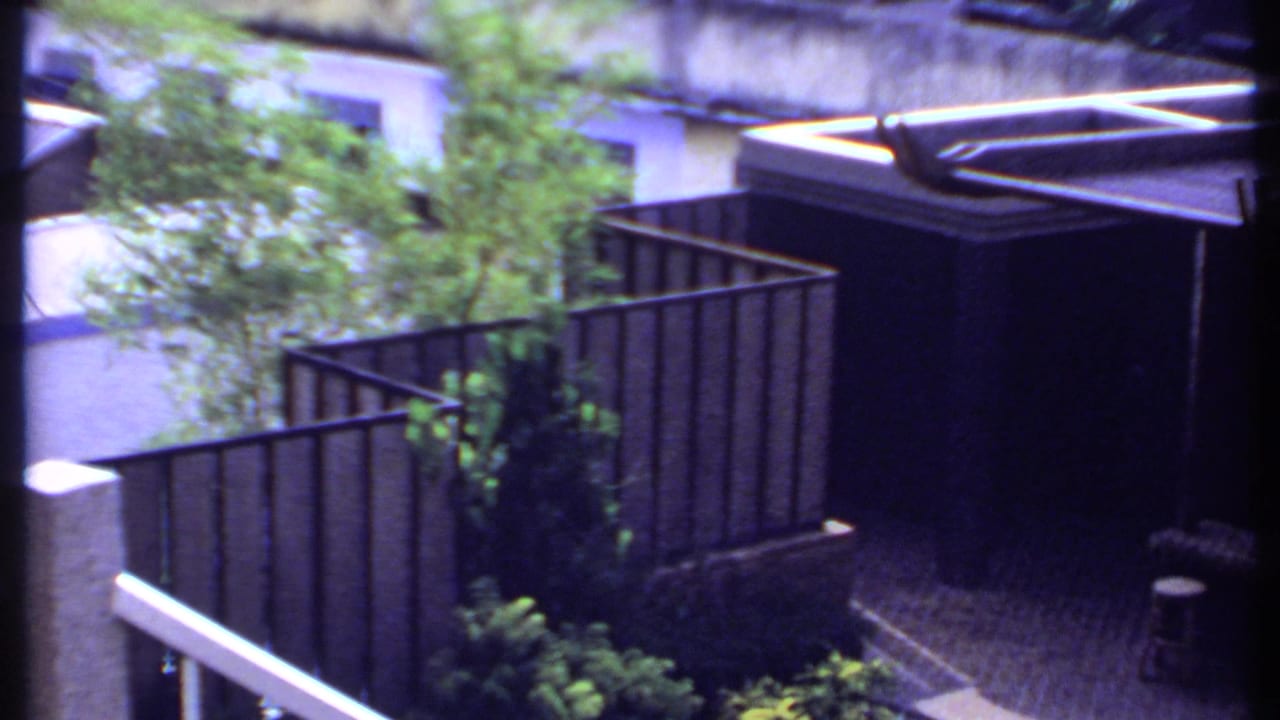 1969 India courtyard view with planted greenery, metal railings, a paved surface, and a dark angular pergola in shade.