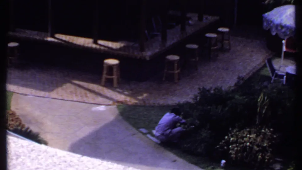 1969 India patio scene showing a low bar with stools, a curved walkway, dense shrubs, and a man crouching near the planting.