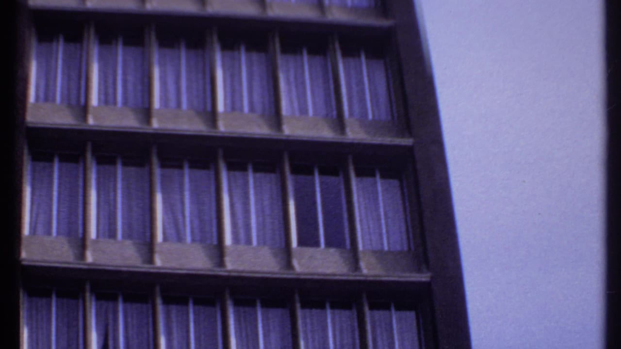 Close view of a building facade with rows of windows and purple curtains.