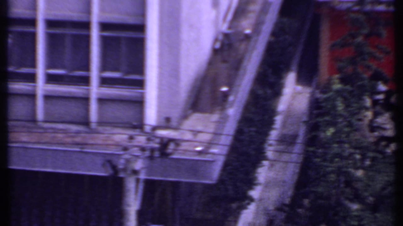 1969 India 8mm frame showing a building facade, windows, sloped roof edge, hedge, and nearby garden plantings.