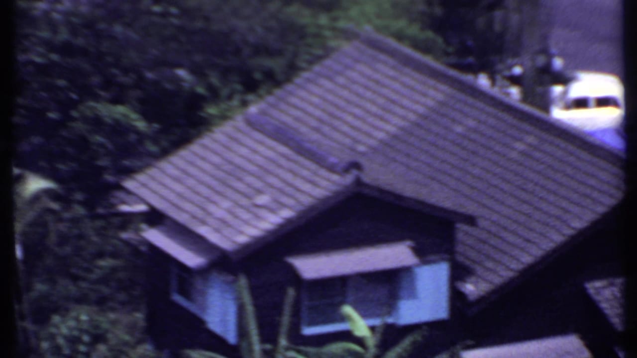 Aerial view over a tiled roof, trees, road, and small light-colored car.