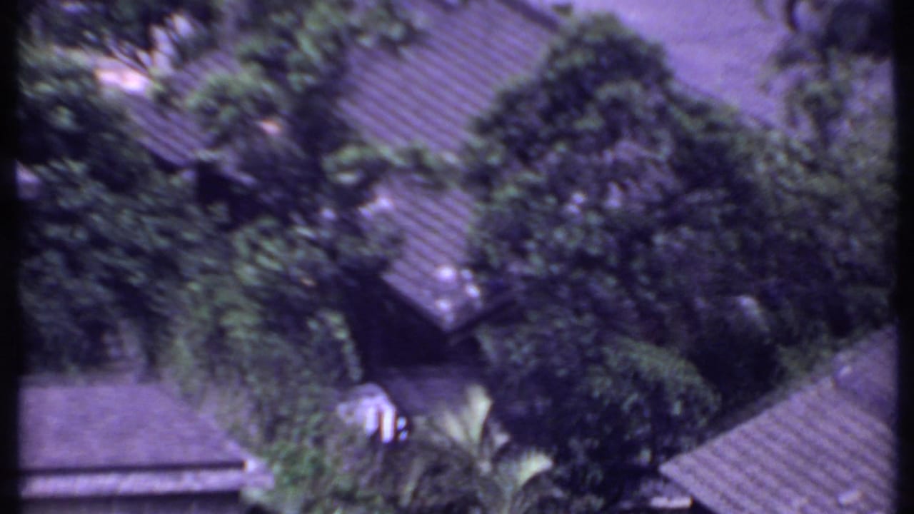 1969 India aerial home-movie frame showing rooftops embedded in dense greenery with palm fronds and soft motion blur.