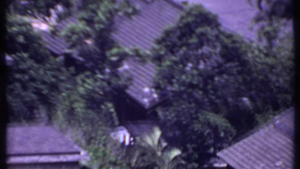 1969 India aerial home-movie frame showing rooftops embedded in dense greenery with palm fronds and soft motion blur.